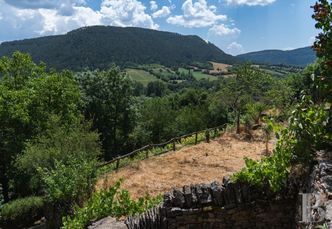 character properties France languedoc roussillon   - 22