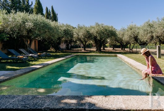 A Provencal farmhouse renovated in keeping with the traditional way of life, not far from Carpentras, in the Vaucluse - photo  n°2
