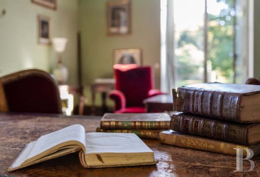 France mansions for sale ile de france   - 8