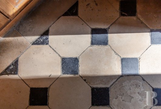 France mansions for sale ile de france   - 6