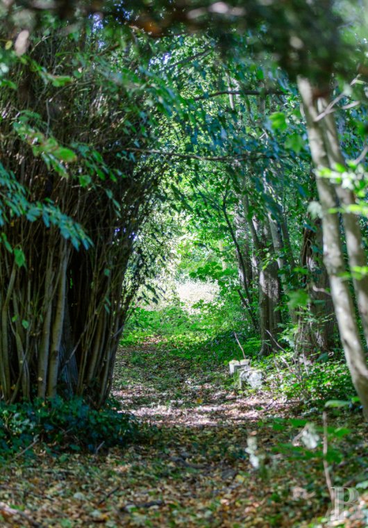 France mansions for sale ile de france   - 18