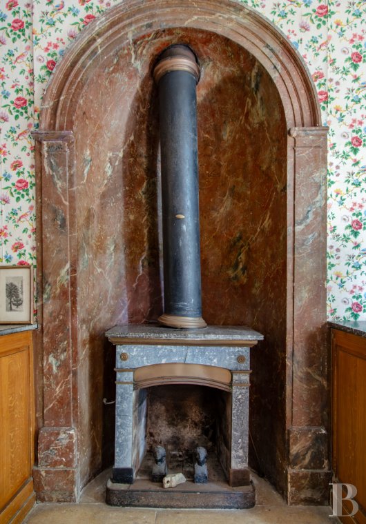 France mansions for sale ile de france   - 7