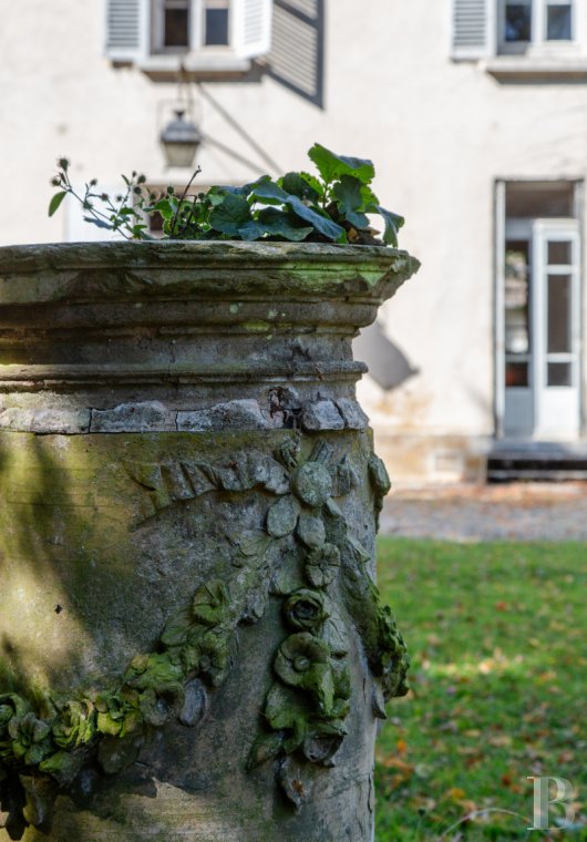 France mansions for sale ile de france   - 17