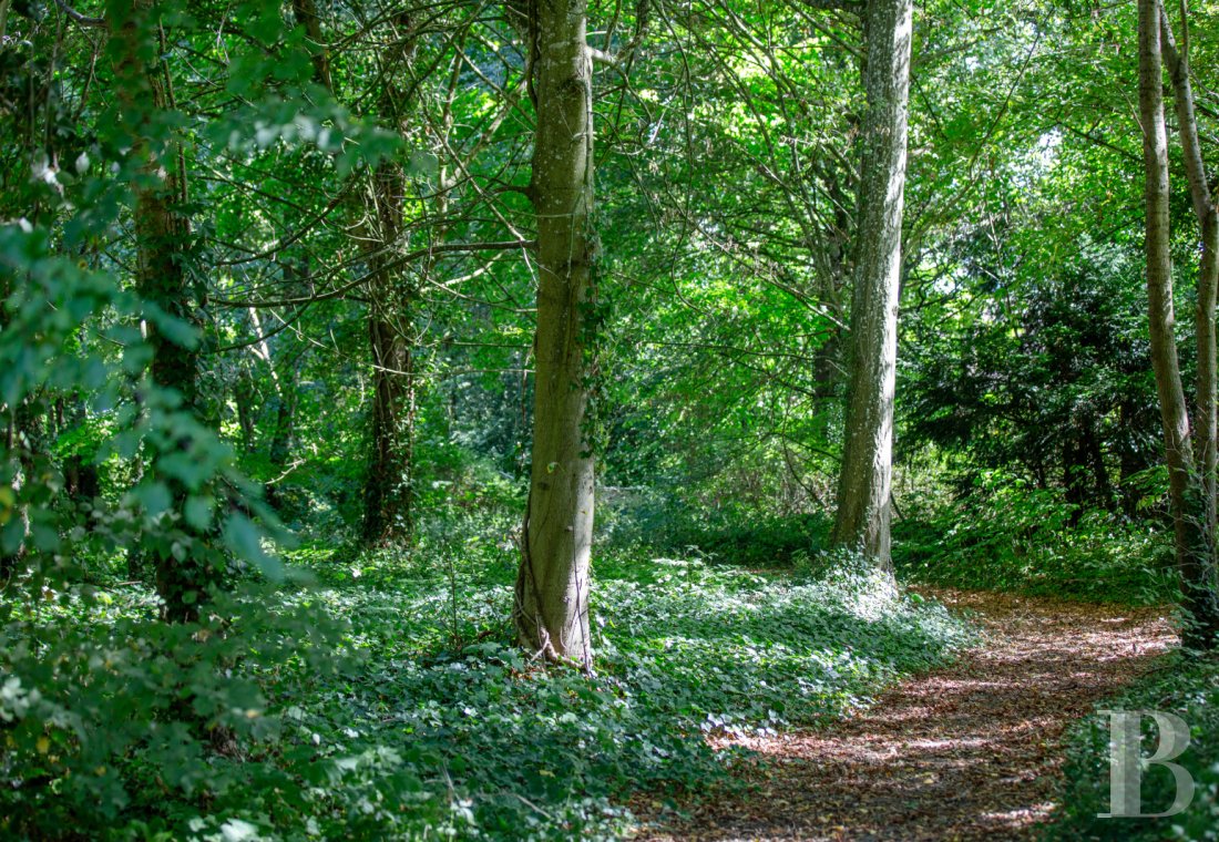 France mansions for sale ile de france   - 19