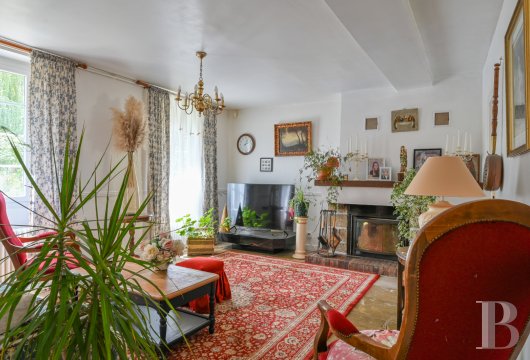 moulins a vendre bourgogne   - 6
