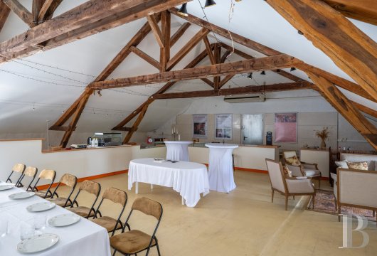 moulins a vendre bourgogne   - 21