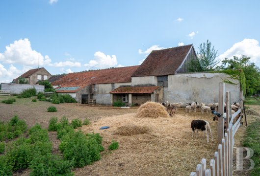 moulins a vendre bourgogne   - 26