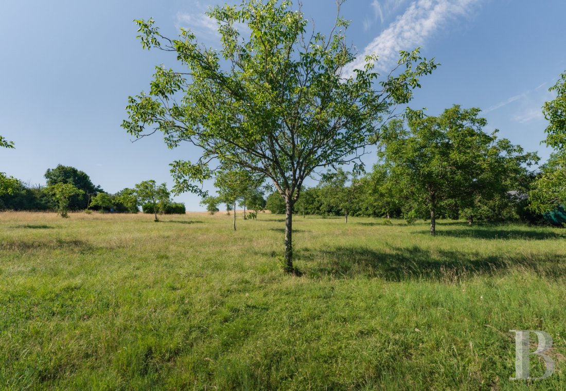 character properties France center val de loire   - 15