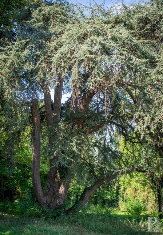 property for sale France midi pyrenees   - 14