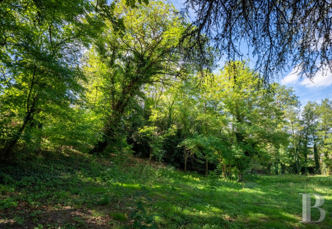 property for sale France midi pyrenees   - 19