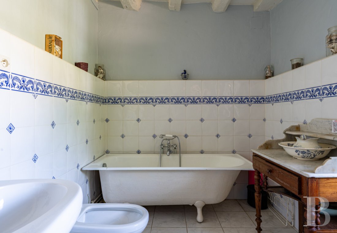 Dans le Loir-et-Cher, non loin de Chenonceau, un ancien relais de chasse du 18e siècle entouré d’un grand parc - photo  n°23