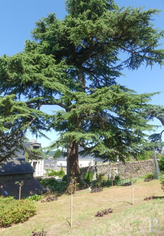 mansion houses for sale France center val de loire   - 10
