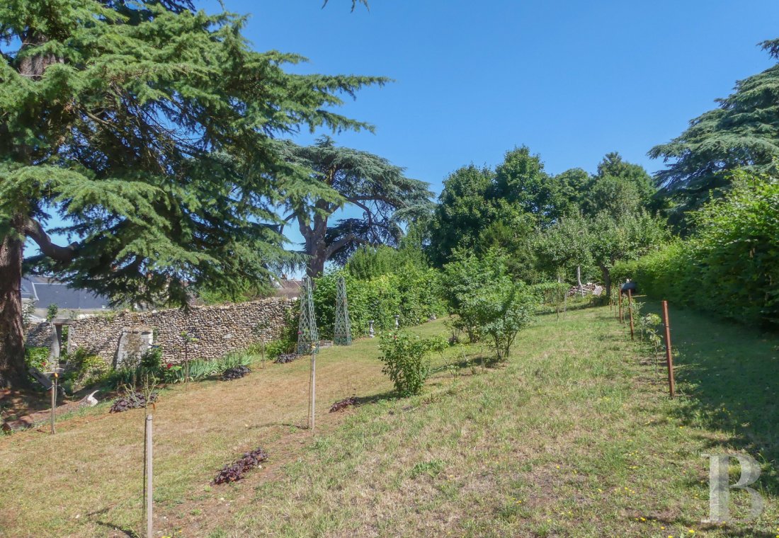 mansion houses for sale France center val de loire   - 12