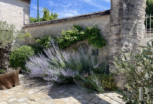 character properties France ile de france   - 13