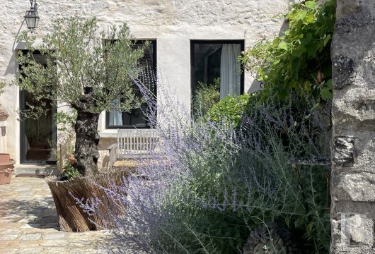 ile-de-france - An 18th-century house with a walled garden, a short walk from fields and forest, 1 hour from Paris and 10 km from Fontainebleau