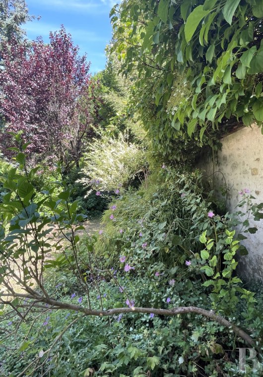 character properties France ile de france   - 14