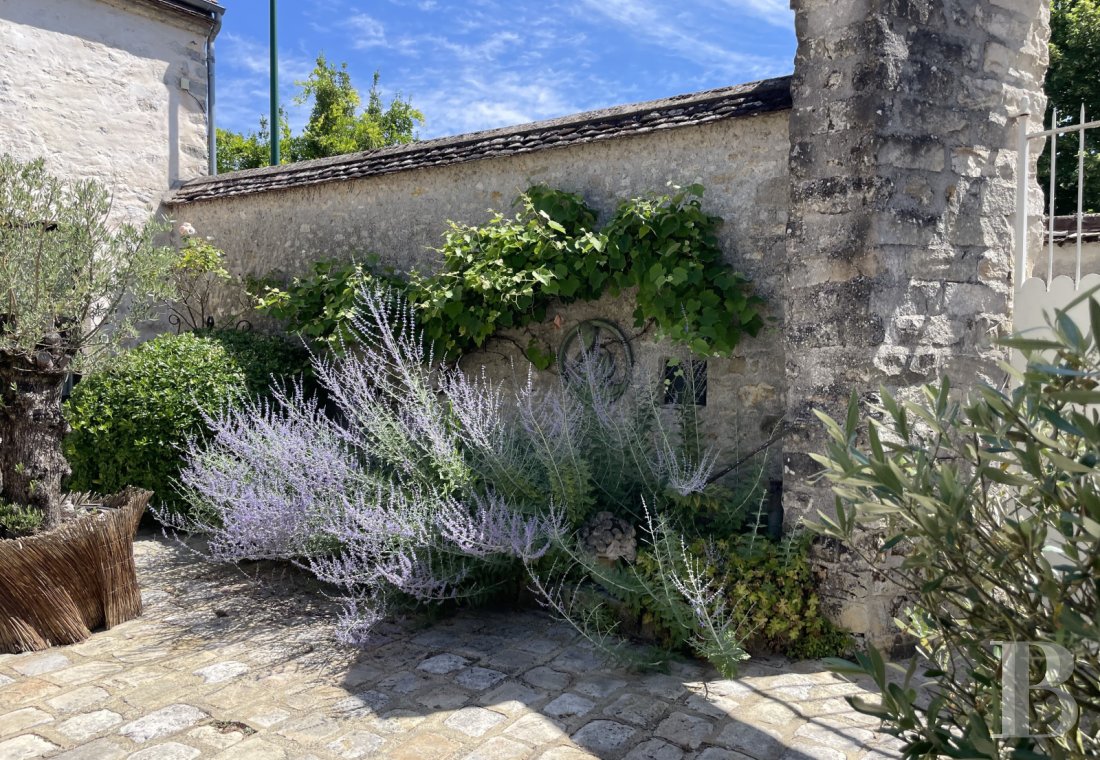 character properties France ile de france   - 17