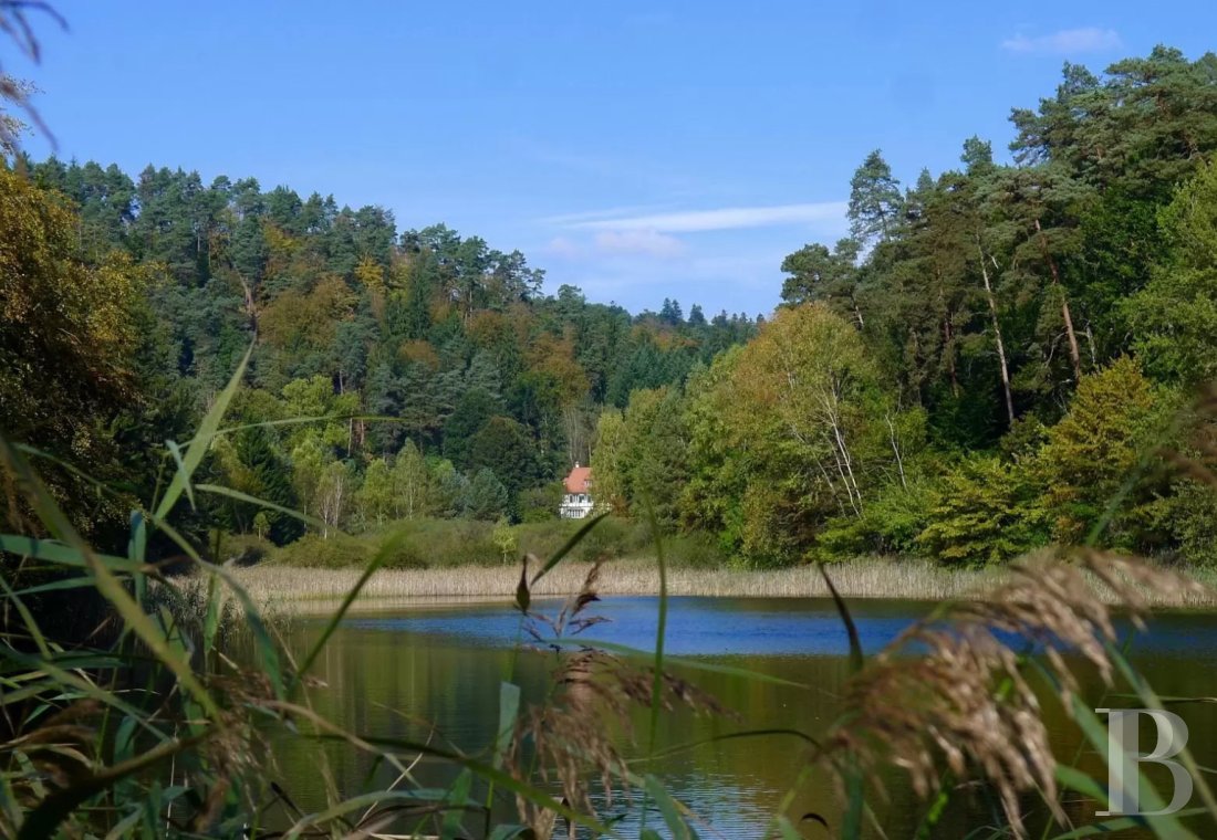 Dans les Vosges du Nord,  un ancien pavillon de chasse du 19e siècle transformé en confortable maison alsacienne traditionnelle - photo  n°23
