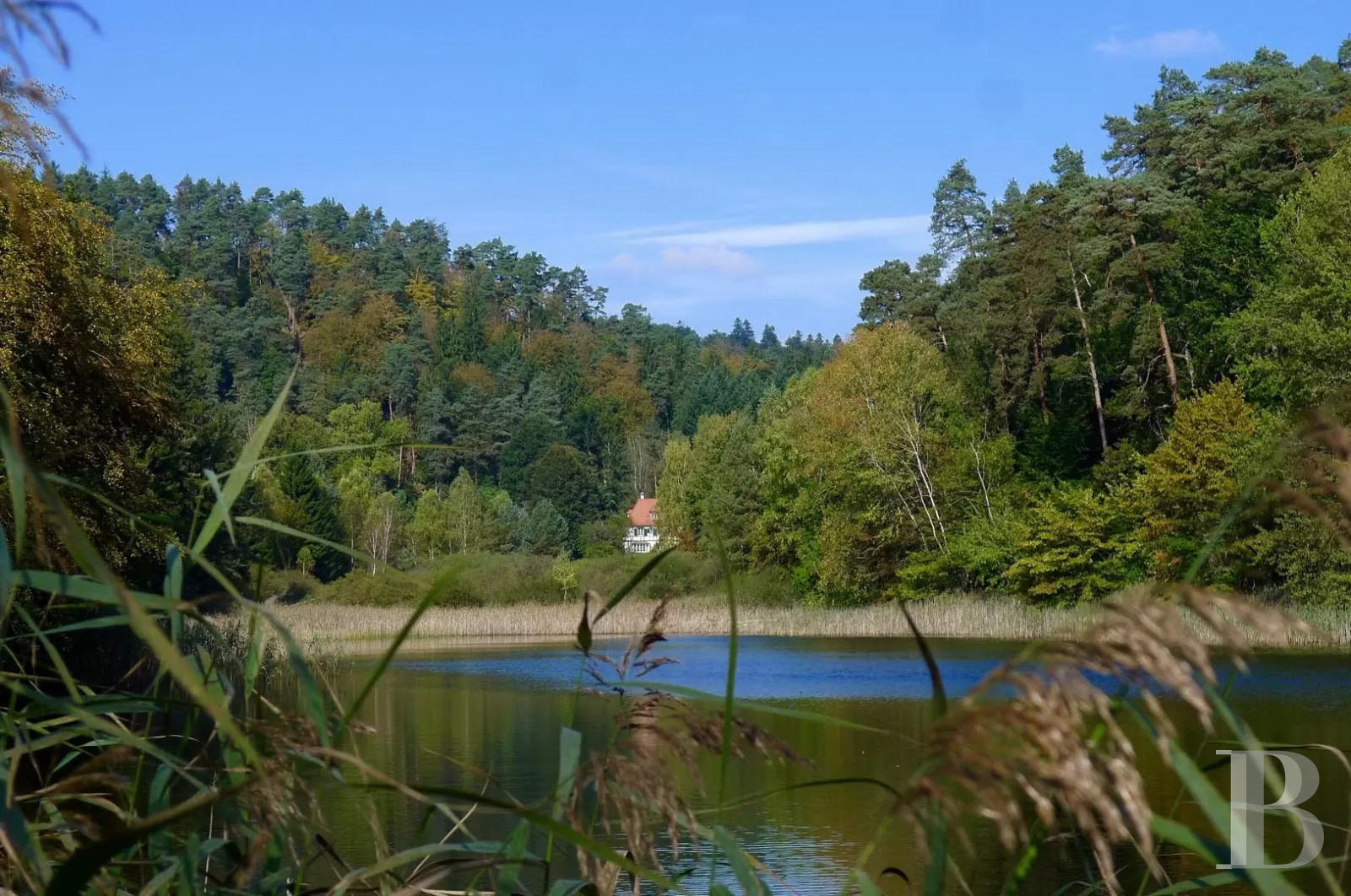 Dans les Vosges du Nord,  un ancien pavillon de chasse du 19e siècle transformé en confortable maison alsacienne traditionnelle - photo  n°23