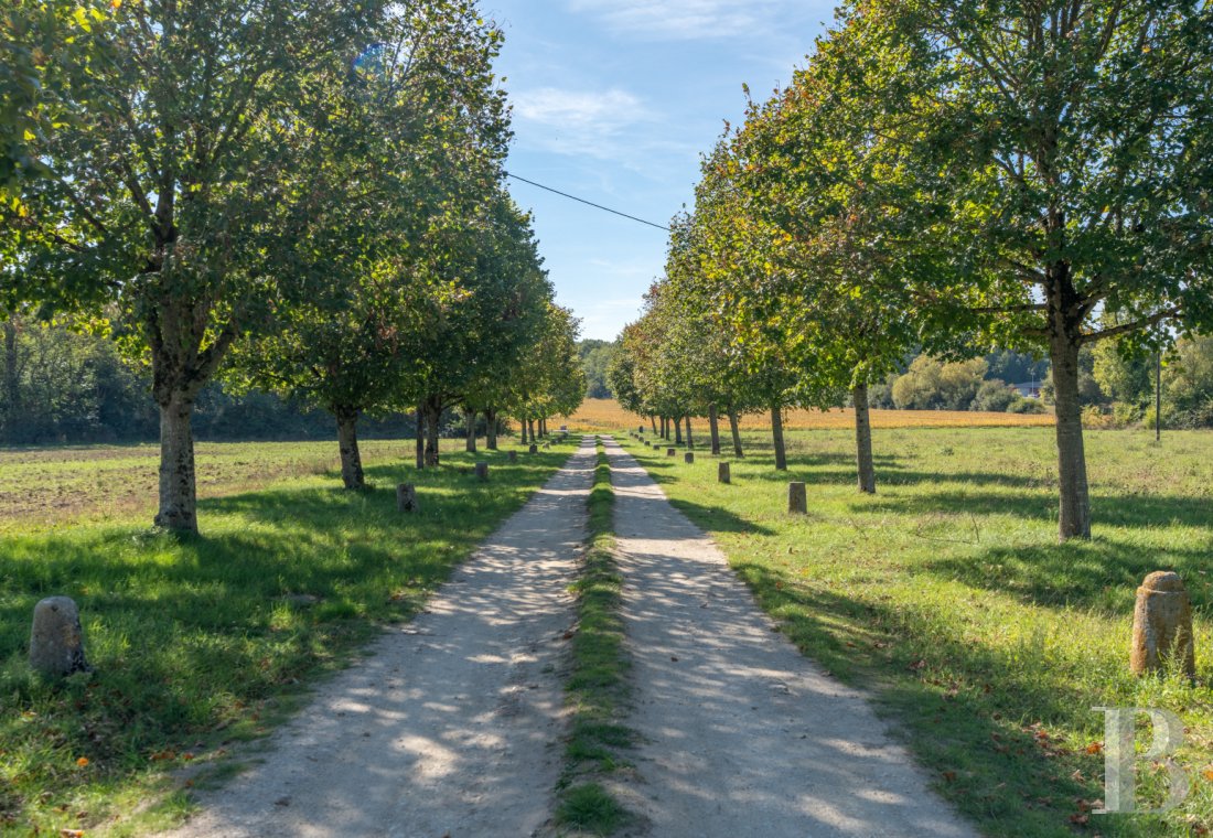 En Indre-et-Loire, à l’ouest de Tours, un manoir de campagne élevé sur quatre siècles (15e-18e) - photo  n°41