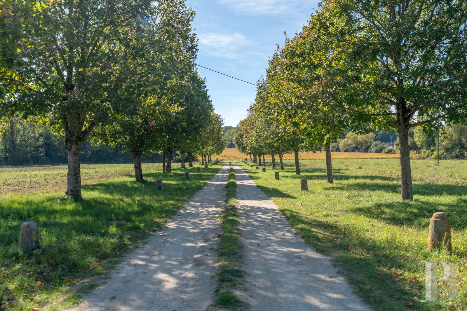 En Indre-et-Loire, à l’ouest de Tours, un manoir de campagne élevé sur quatre siècles (15e-18e) - photo  n°41