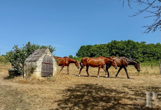 immobilier chateaux pays de loire   - 13
