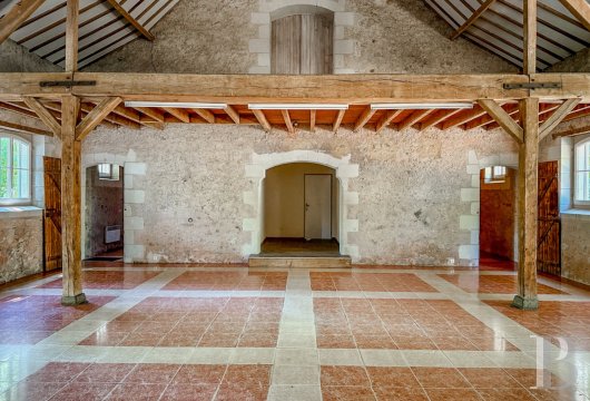 immobilier chateaux pays de loire   - 6