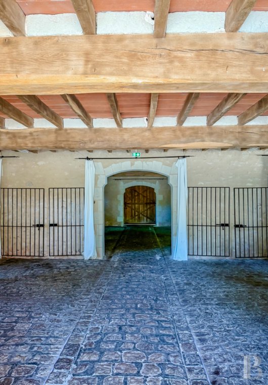 immobilier chateaux pays de loire   - 5