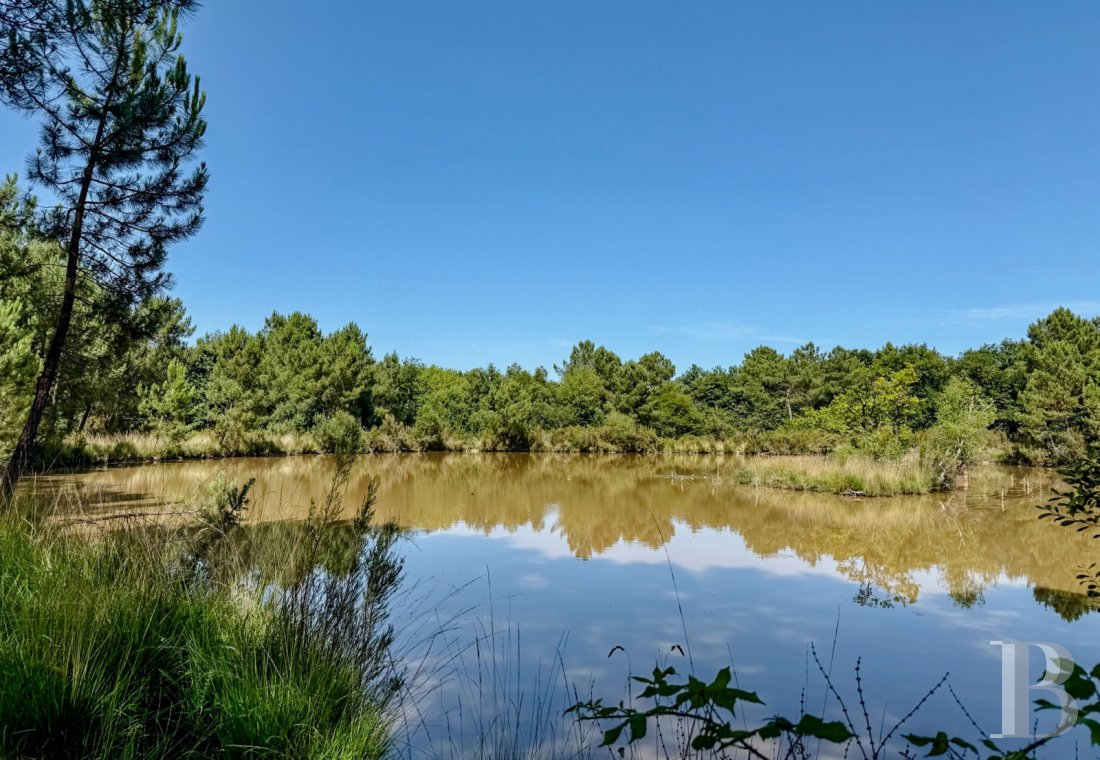 immobilier chateaux pays de loire   - 16