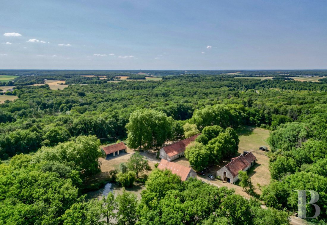 immobilier chateaux pays de loire   - 2