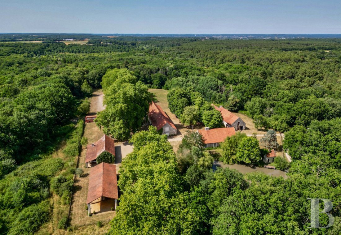 immobilier chateaux pays de loire   - 1