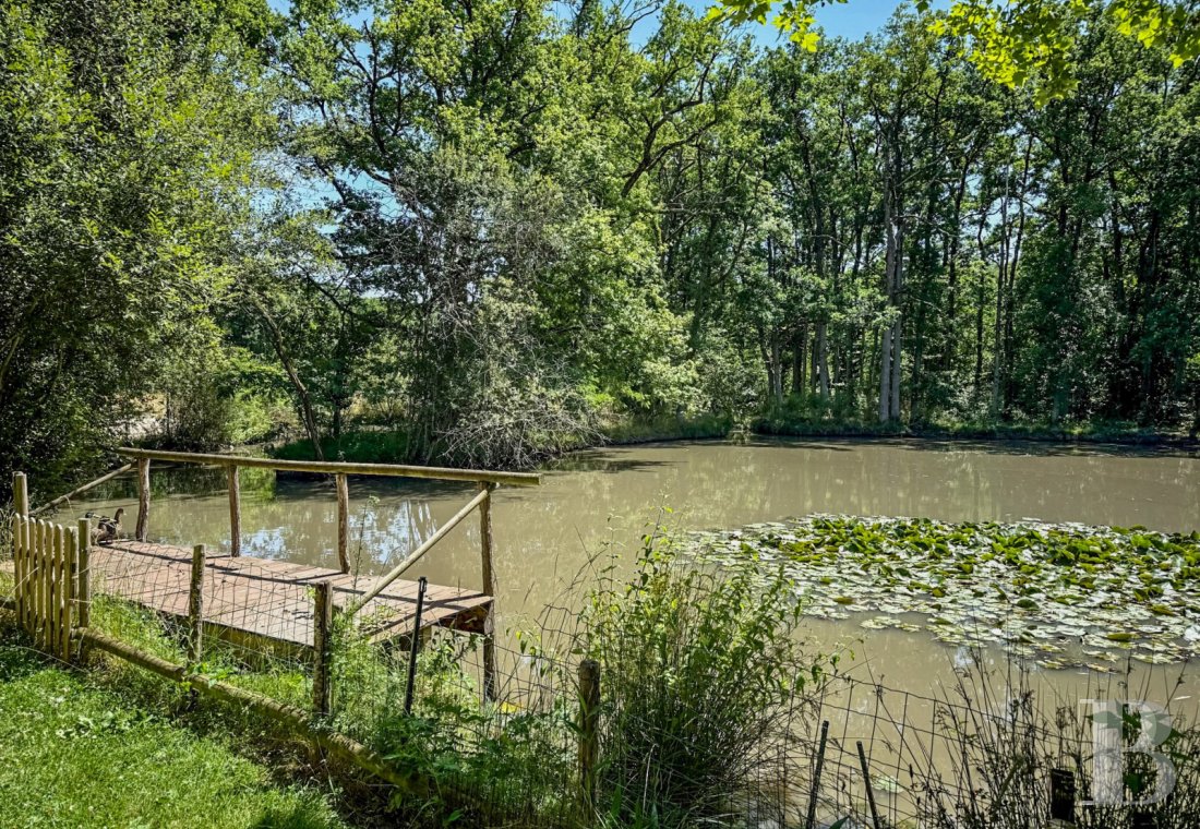 immobilier chateaux pays de loire   - 10