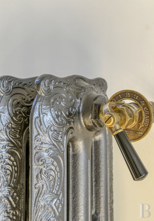 mansion houses for sale France pays de loire   - 17