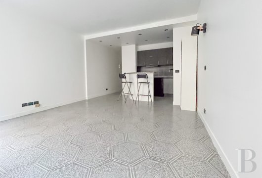 appartements a vendre paris   - 2