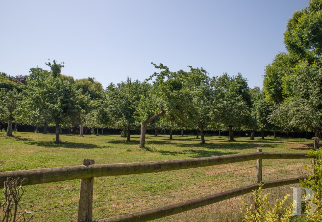 manoirs a vendre basse normandie   - 13