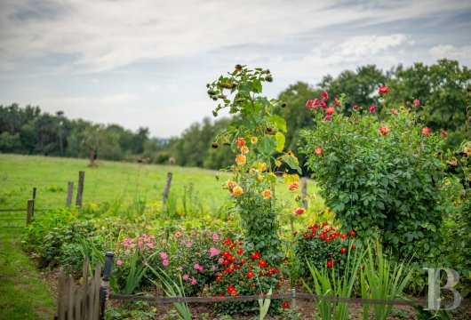 property for sale France midi pyrenees   - 22