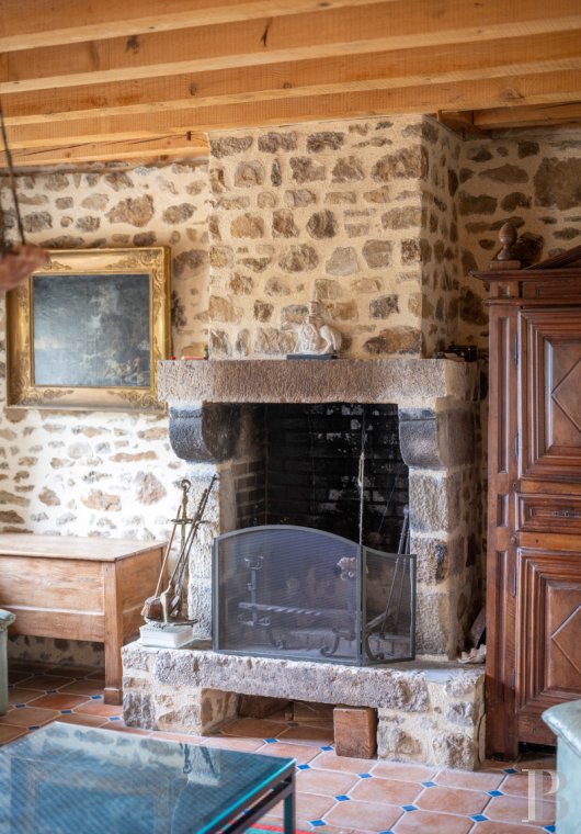 chateaux a vendre limousin   - 15