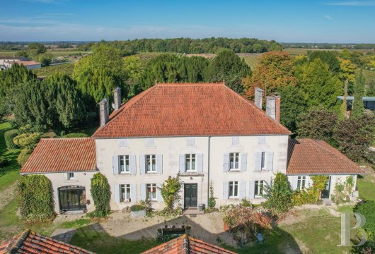 poitou-charentes - A grand 19th-century house with outbuildings, a swimming pool, a dovecote and 5,700m²  of grounds, 15 minutes from the town of Cognac and 30 minutes from the city of Angoulême
