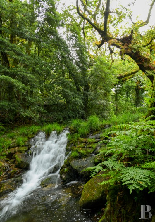 Au nord du Portugal, à Afife, un ancien couvent bénédictin dans un parc luxuriant - photo  n°2