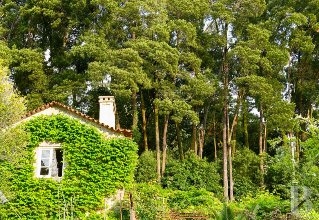Au nord du Portugal, à Afife, un ancien couvent bénédictin dans un parc luxuriant - photo  n°61