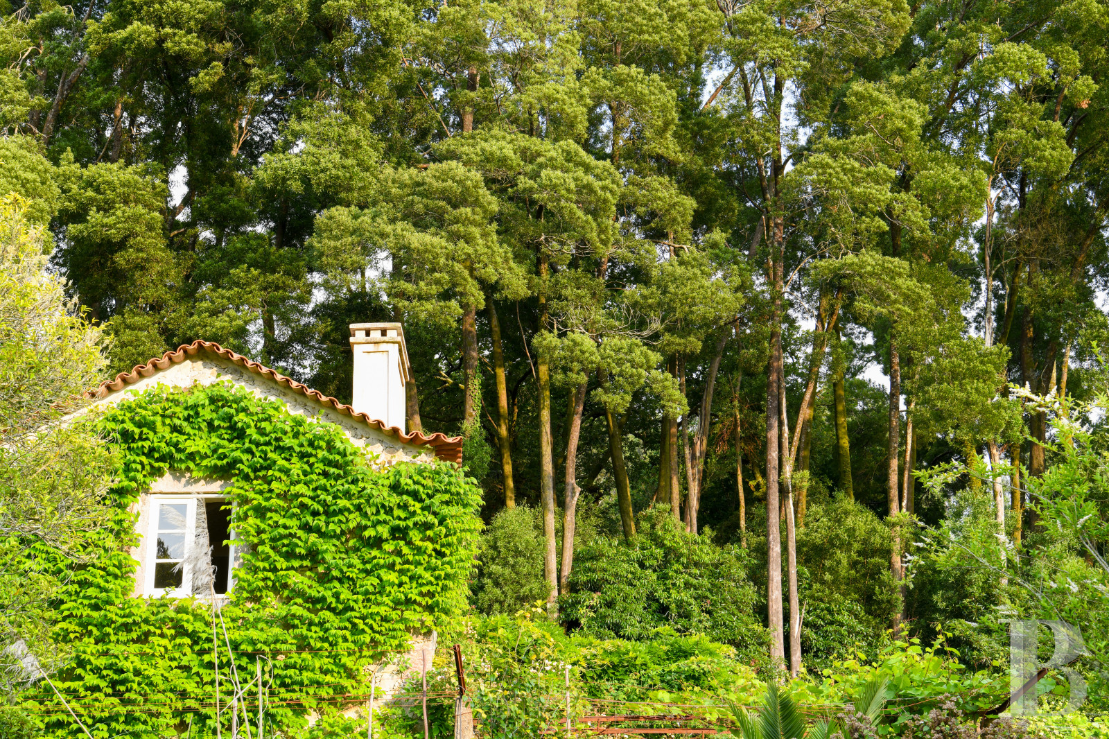 Au nord du Portugal, à Afife, un ancien couvent bénédictin dans un parc luxuriant - photo  n°61