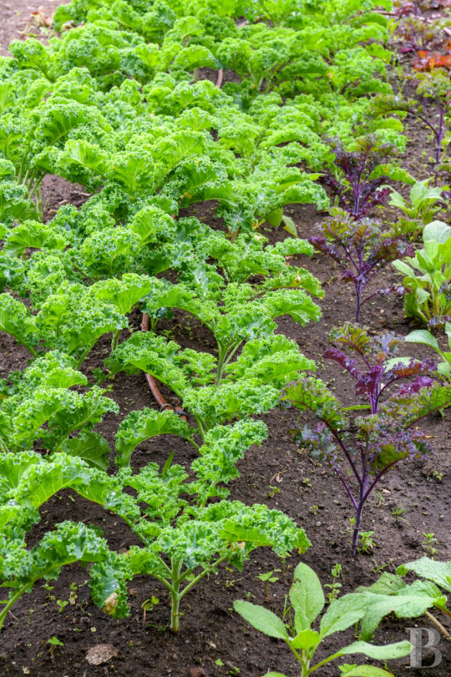 Au nord du Portugal, à Afife, un ancien couvent bénédictin dans un parc luxuriant - photo  n°72