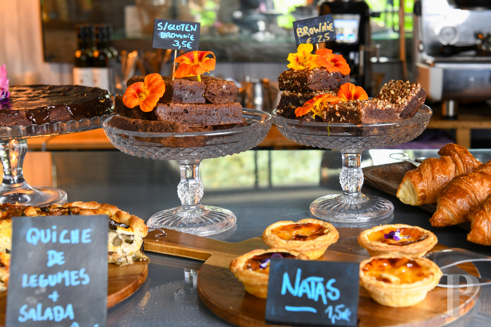 Au nord du Portugal, à Afife, un ancien couvent bénédictin dans un parc luxuriant - photo  n°55