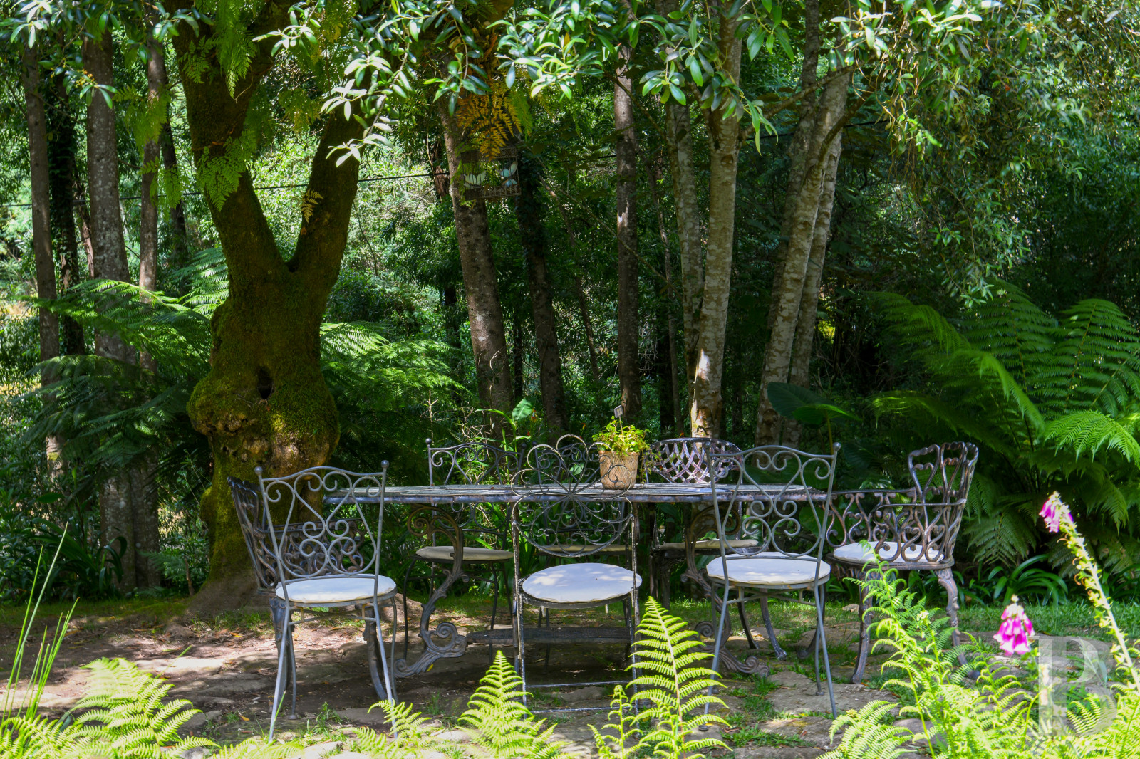 Au nord du Portugal, à Afife, un ancien couvent bénédictin dans un parc luxuriant - photo  n°67