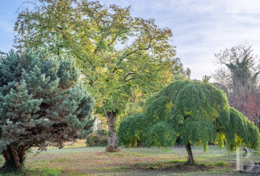 property for sale France midi pyrenees   - 29