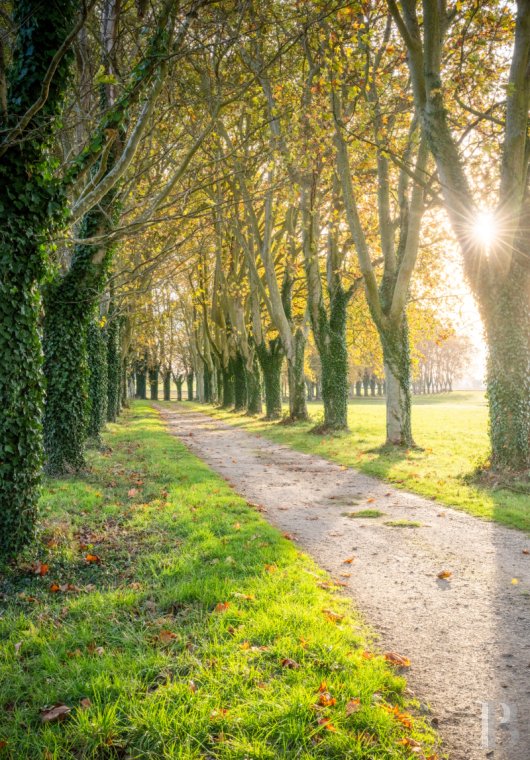 property for sale France midi pyrenees   - 27