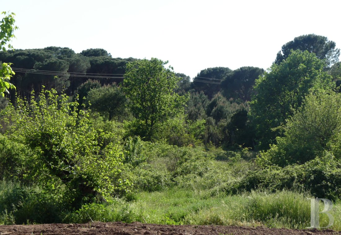 character properties France provence cote dazur   - 13