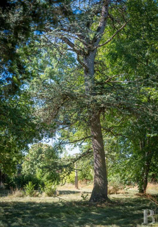 France mansions for sale midi pyrenees   - 17