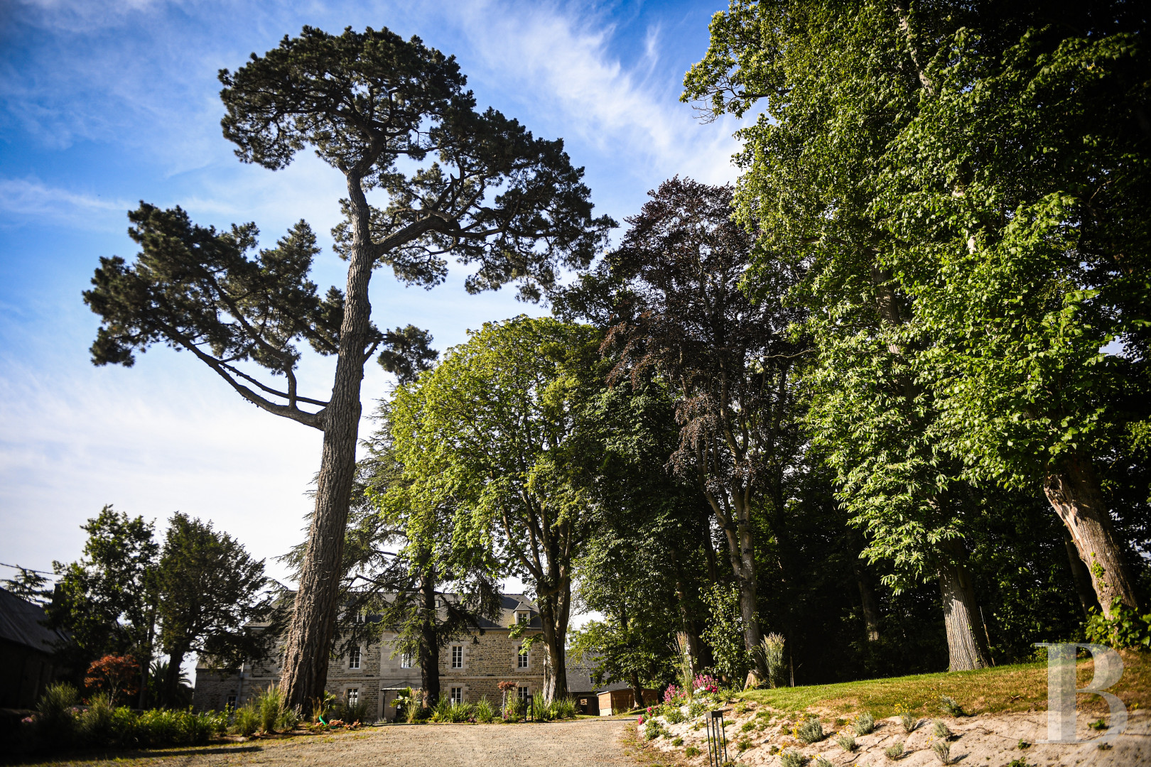 A completely renovated 19th-century manor house on the banks of the Trieux, in the Côtes-d’Armor - photo  n°29