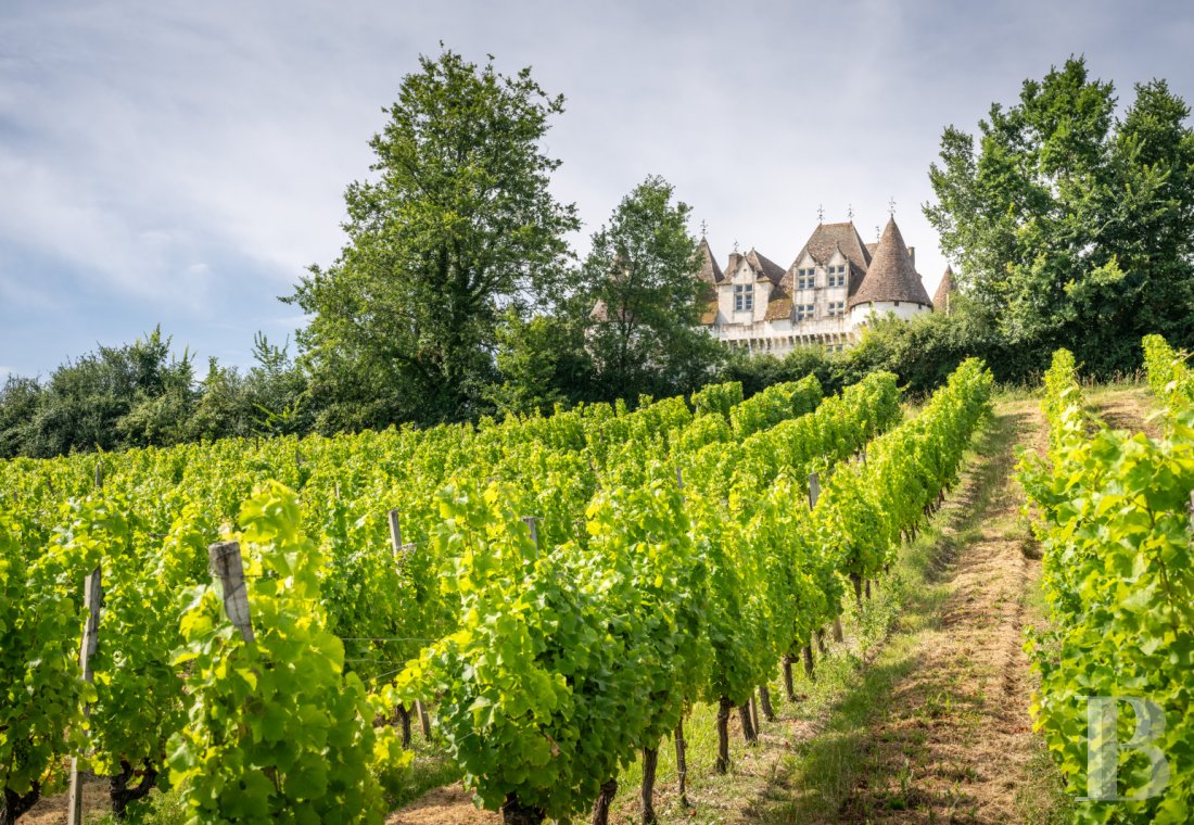 character properties France aquitaine   - 15